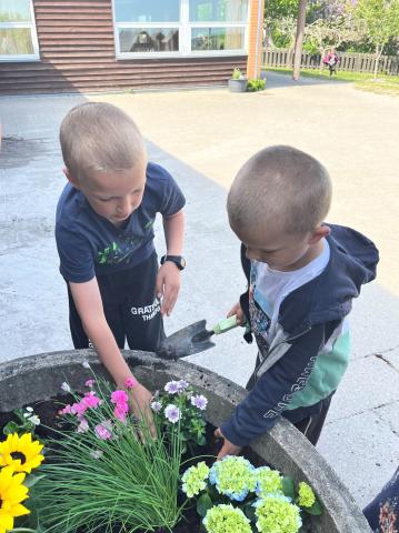 To børn planter blomster